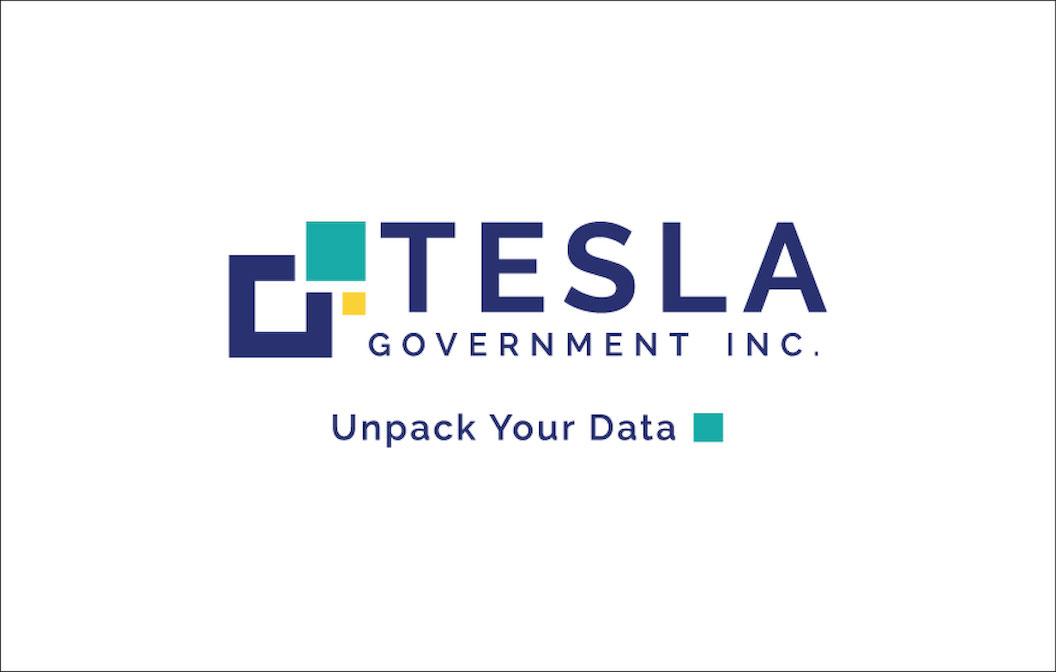 Tesla Government